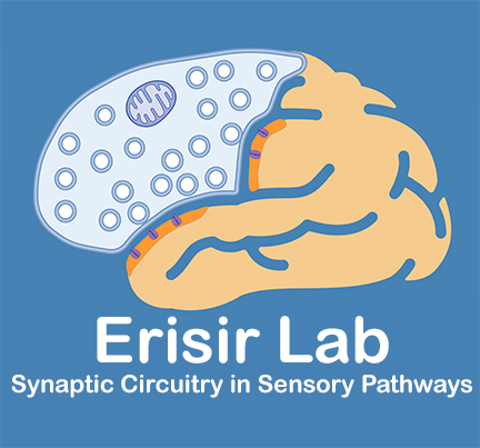 Erisir Lab logo